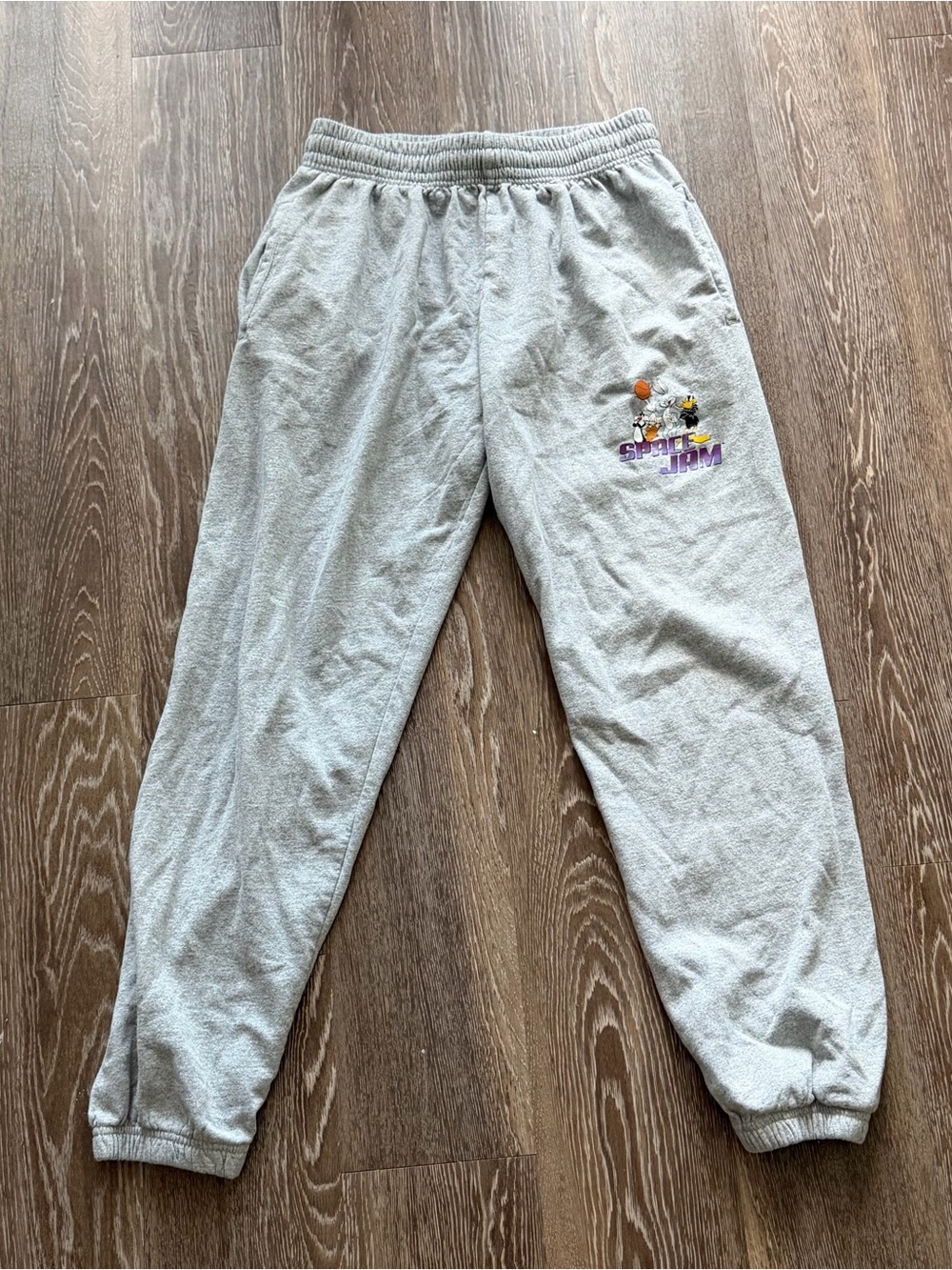 Space Jam Gray Sweatpants
